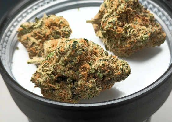 Photograph of product: RYTHM - XENO (3.5G) (IH)