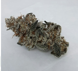 Photograph of product: Forbins Finest | Wagyu | Indoor | Coco Coir | Bulk - 28g