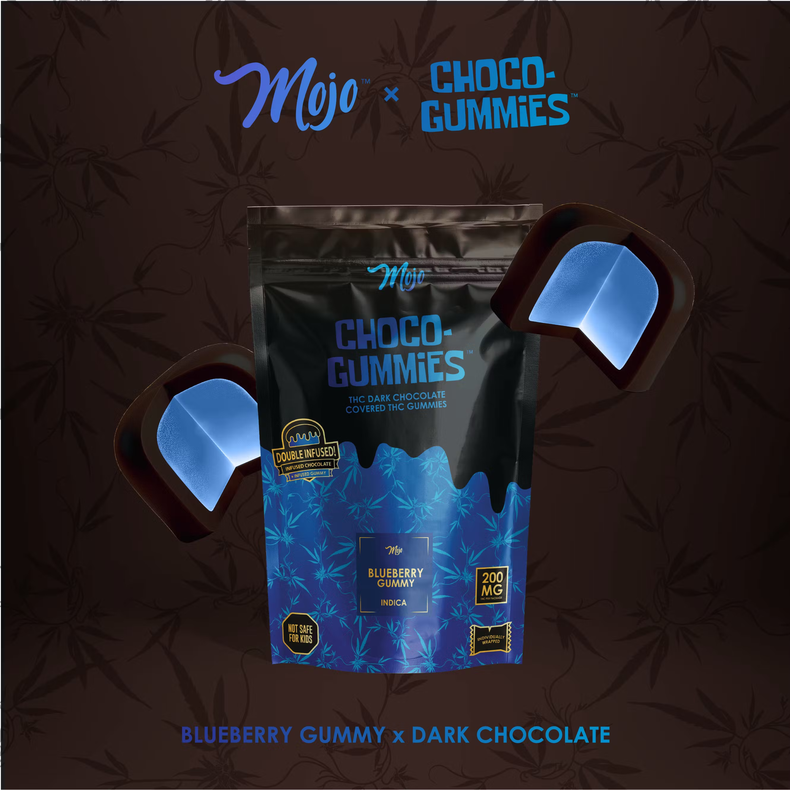Photograph of product: Dark Chocolate Blueberry Gummies | 200mg