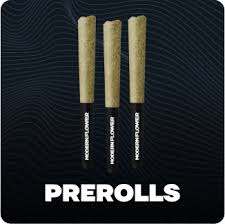 Photograph of product: Modern Flower Pre-Rolls Maryland Mantis 1g 1pk