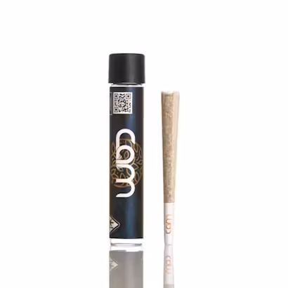 Photograph of Product: CAM | BRuntz | Preroll