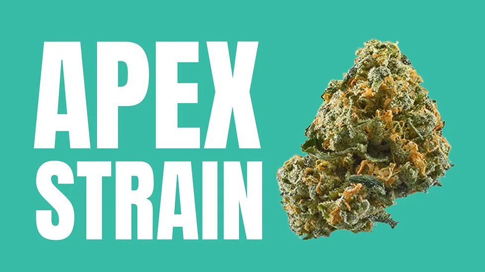 Photograph of product: Glenna's & Co Apex Cured Resin Extract 1g