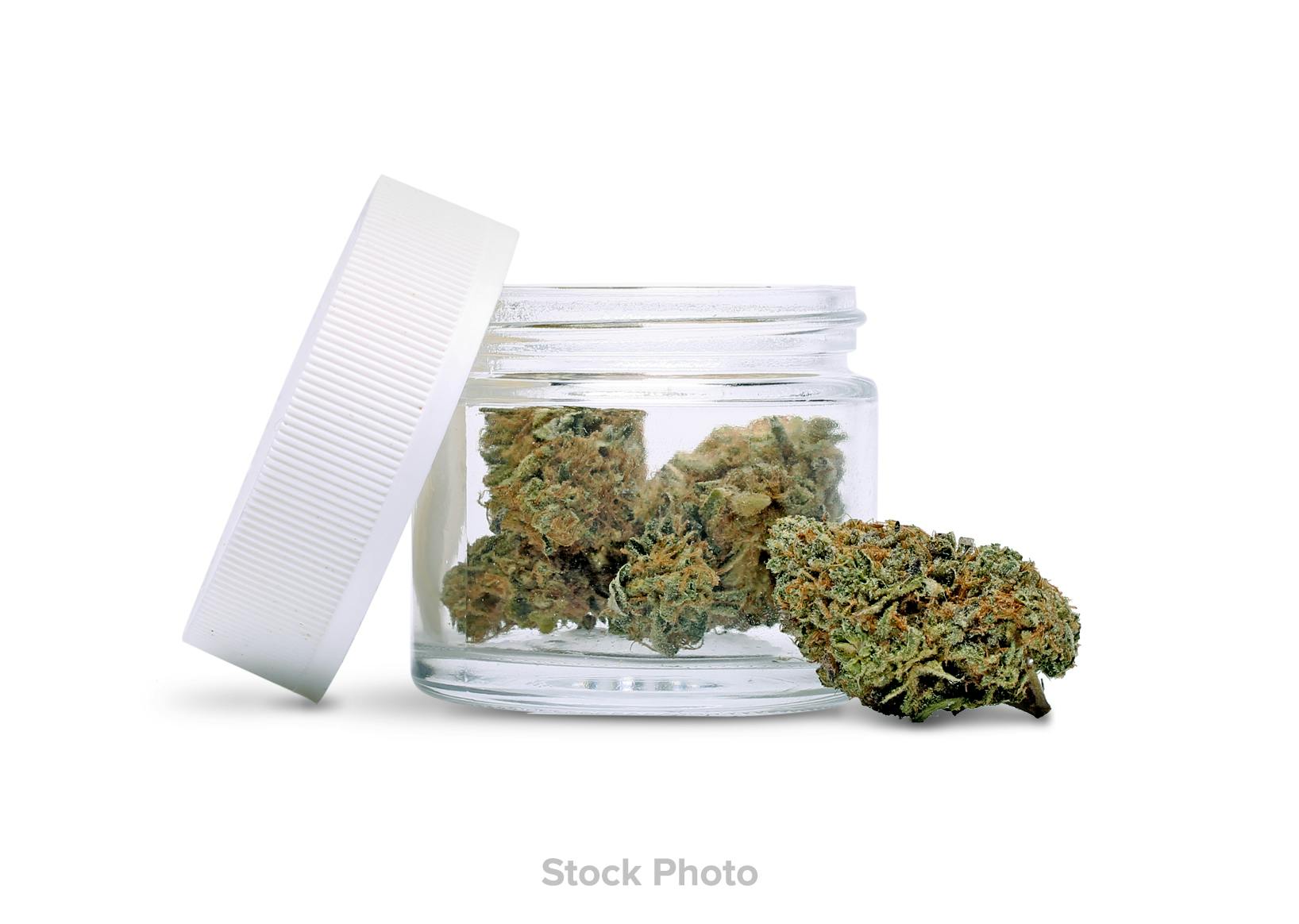 Photograph of Product: PENINSULA GARDENS | Prepack | Black Maple