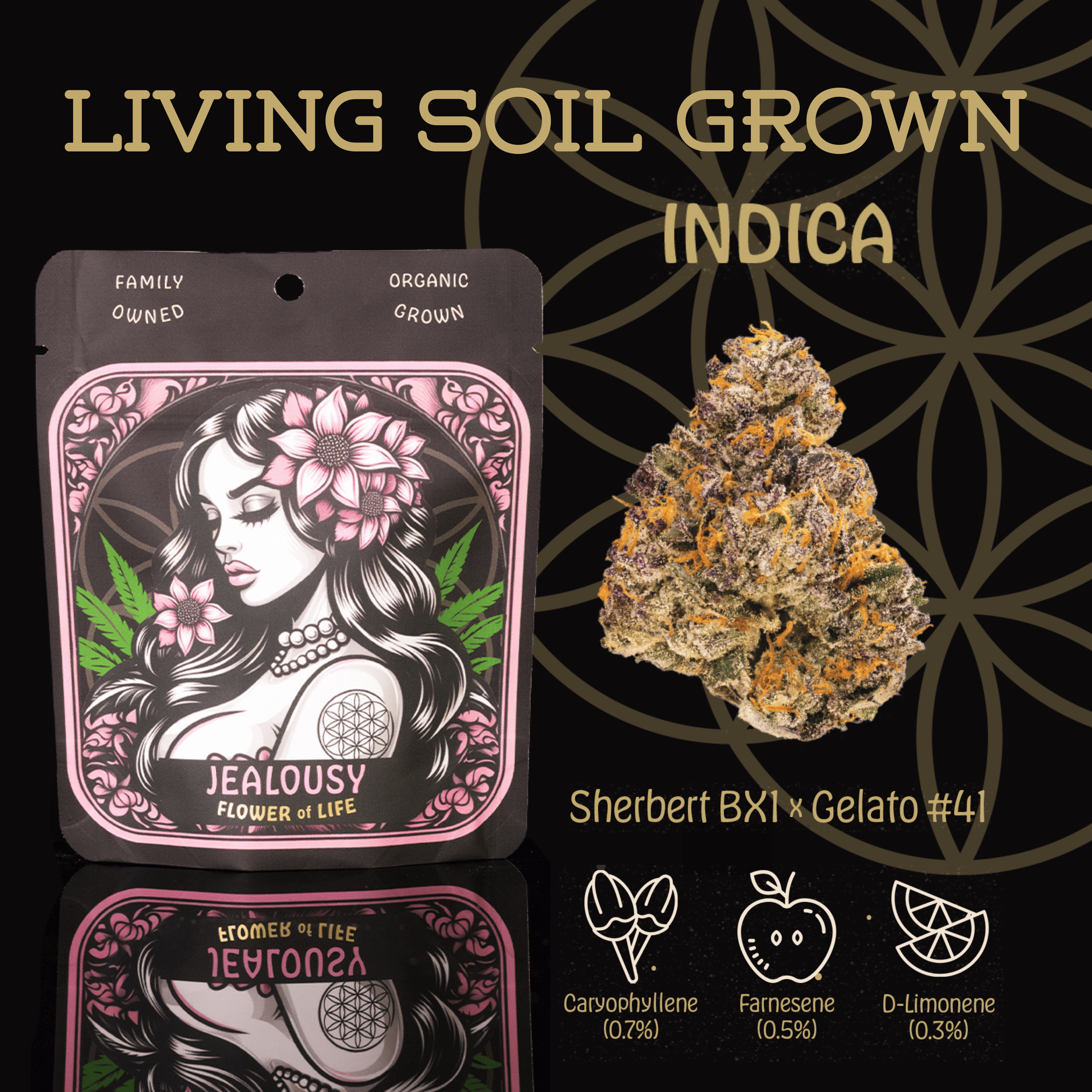 Photograph of product: Jealousy | 3.5g