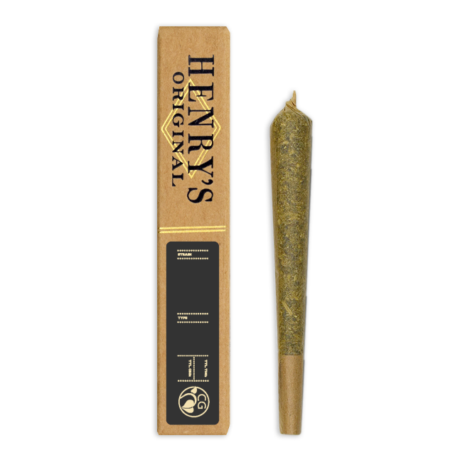 Photograph of product: SENSI STAR (1G)