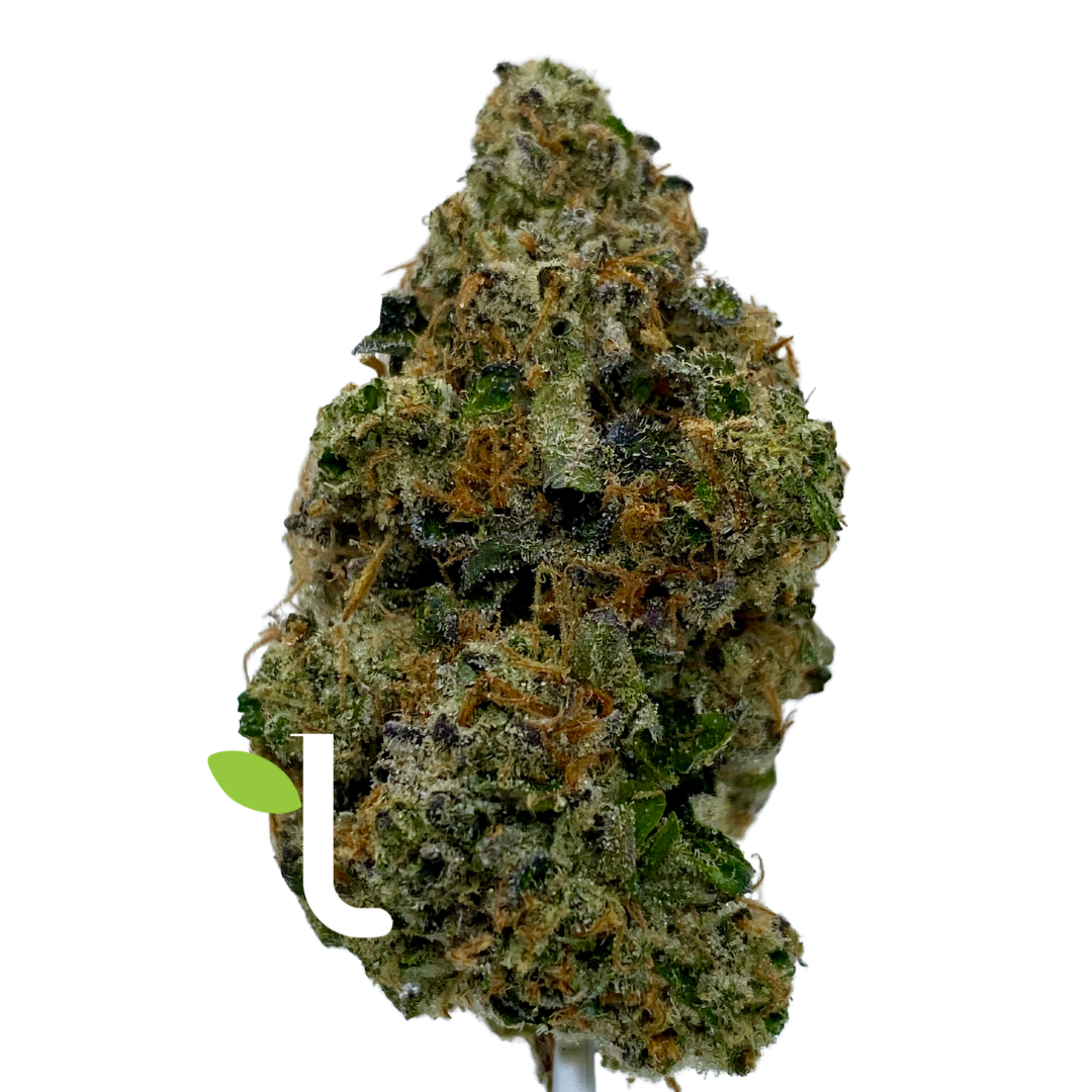 Photograph of product: Sherbanger | Flower () - 7g
