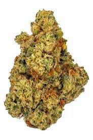 Photograph of product: Bold Cultivation Blueberry Scone 3.5g Oui'd Flower