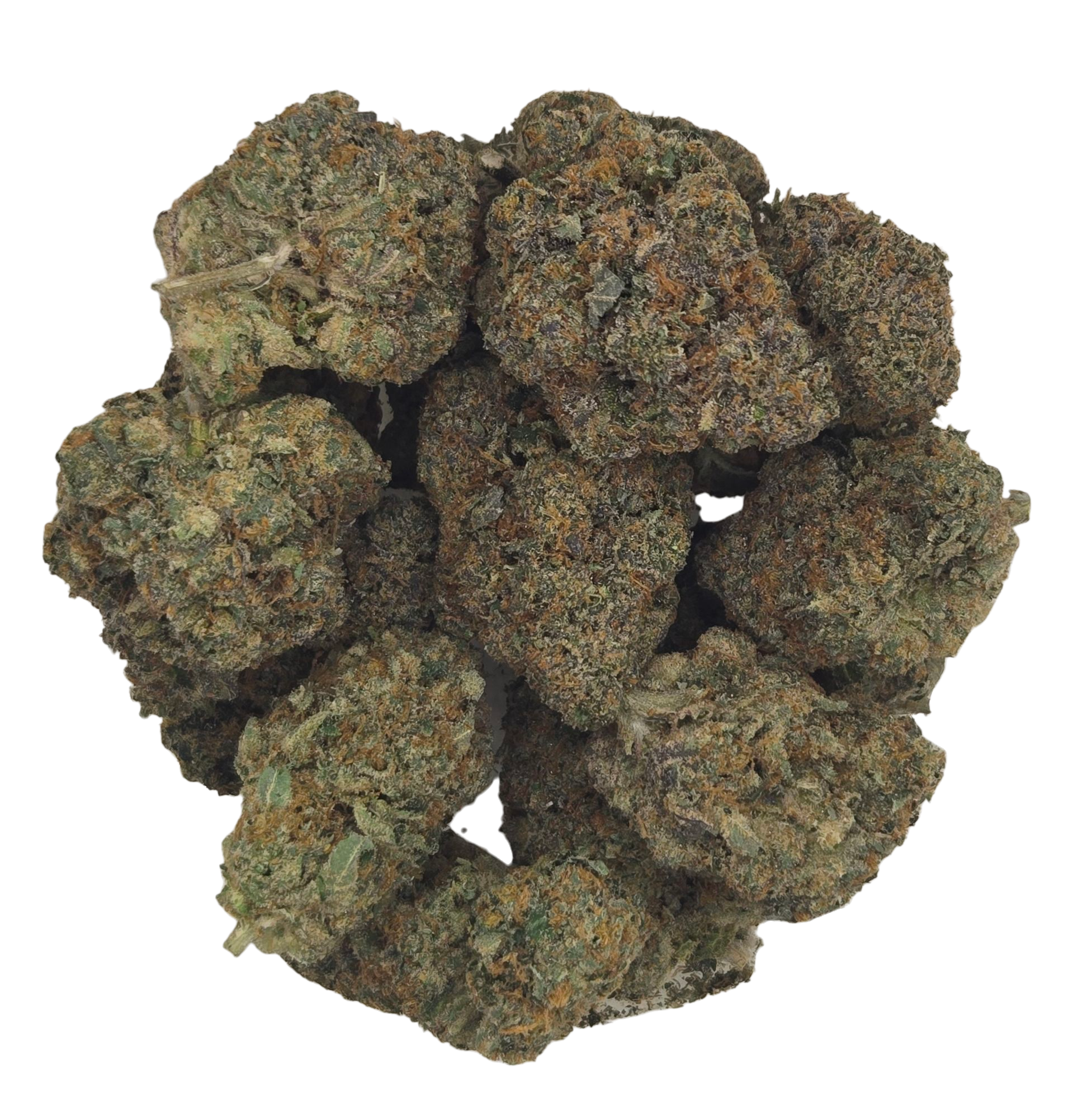 Photograph of product: RAINBOW ZOAP | TIER 2 - 1g