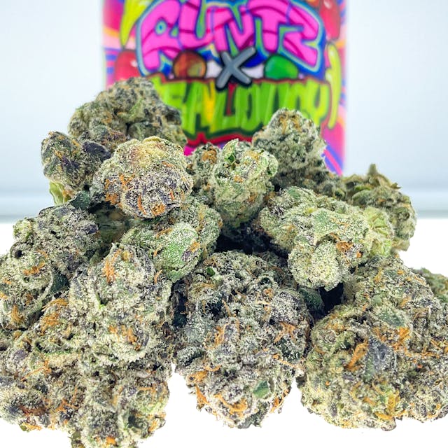 Photograph of product: Runtz X Jealousy 14g - 