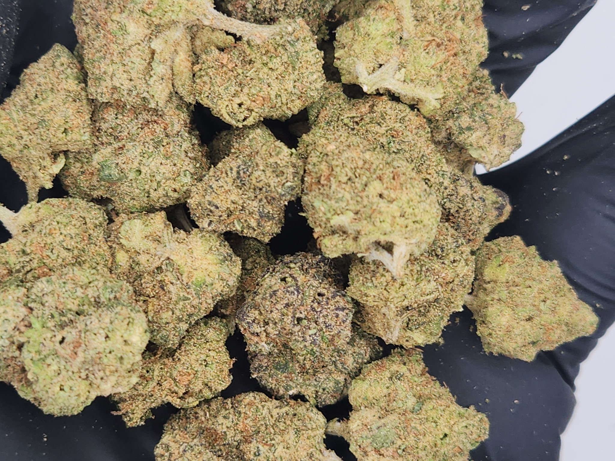 Photograph of product: BHL | Bulk Bud - Brainwash - 28g