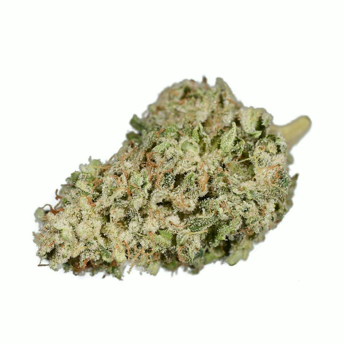 Photograph of product: Bloom | Buds | Quarters | - Juicy Fruit | S