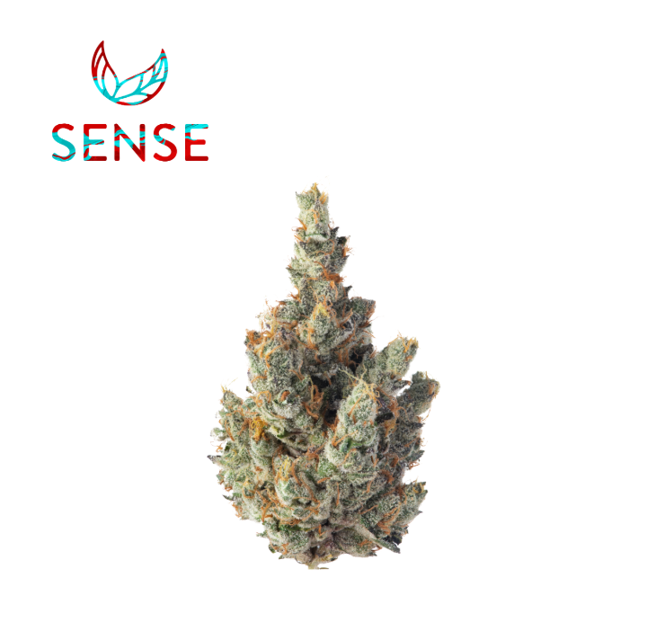 Photograph of product: GMO 3.5G - 3.5 G