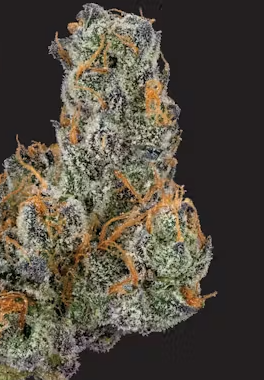 Photograph of product: High Hopes | Apple Fritter - 7g