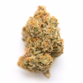 Photograph of product: GOLDKINE | Bulk Flower | au chocolat Burger - 14g