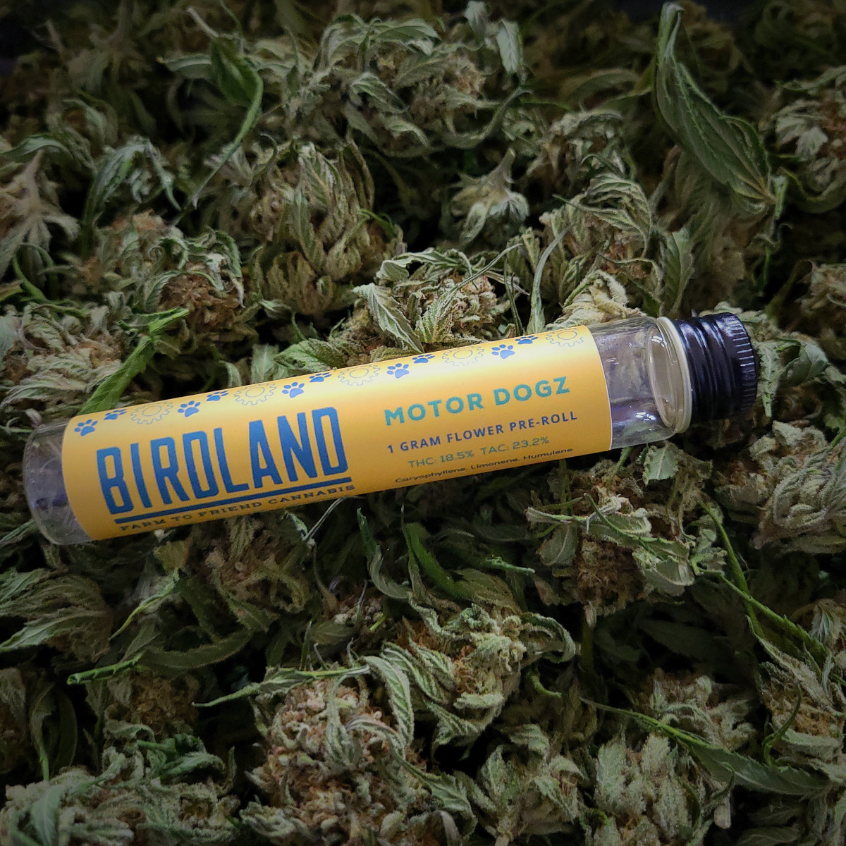 Photograph of product: Infused Preroll - Chemmy Dogz
