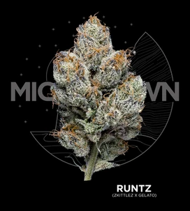 Photograph of product: Michigrown Flower - Runtz - 3.5g