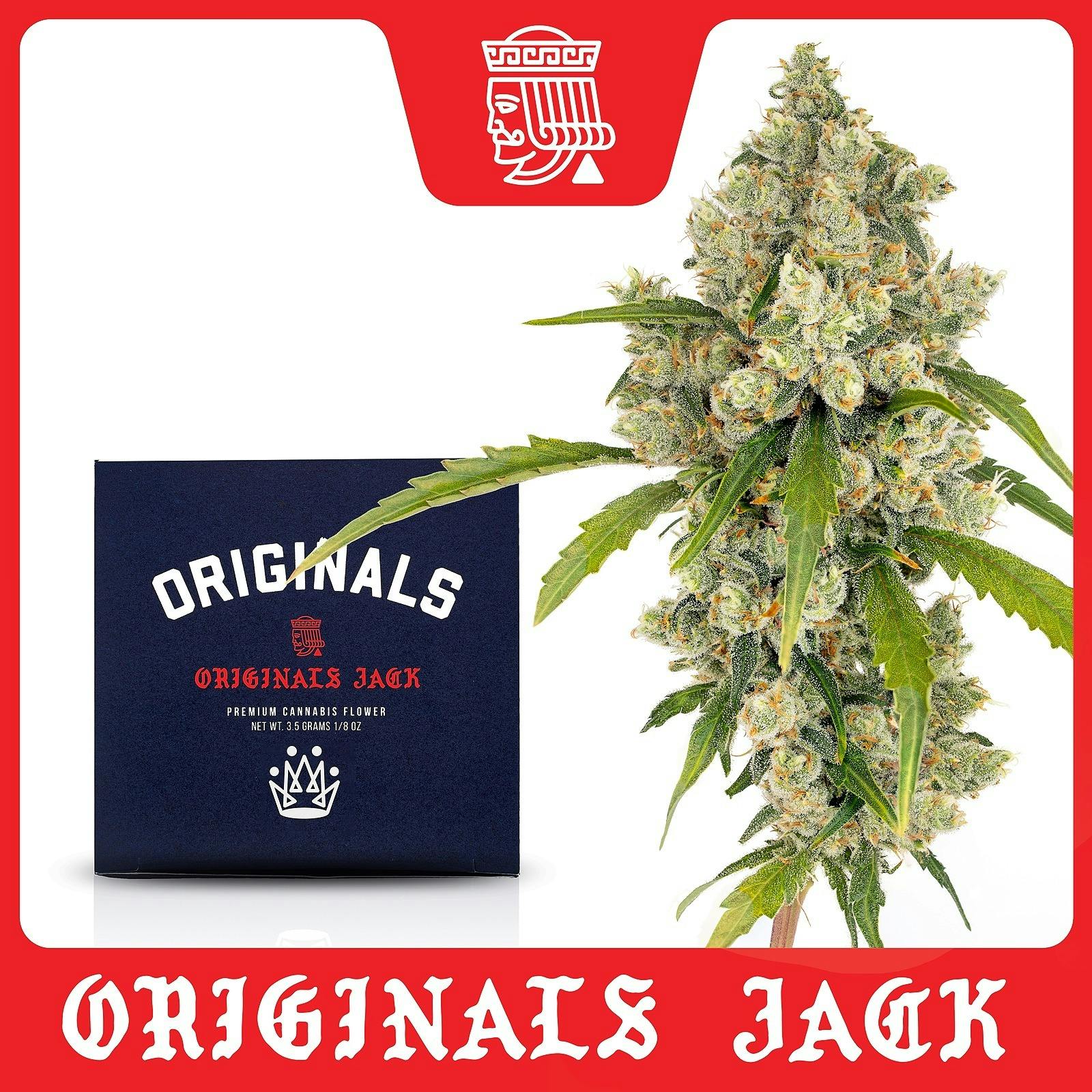 Photograph of product: Jack Herer 3.5g Flower
