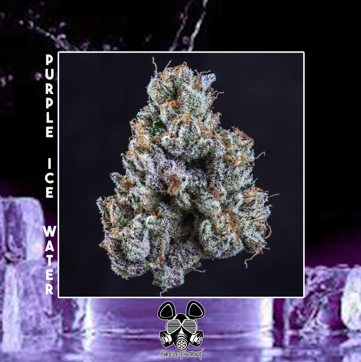 Photograph of product: Purple Ice Water - 28g