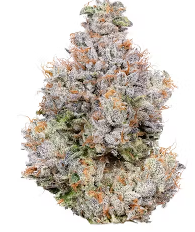 Photograph of product: Area 41 (Inidca Hybrid) - 3.5g