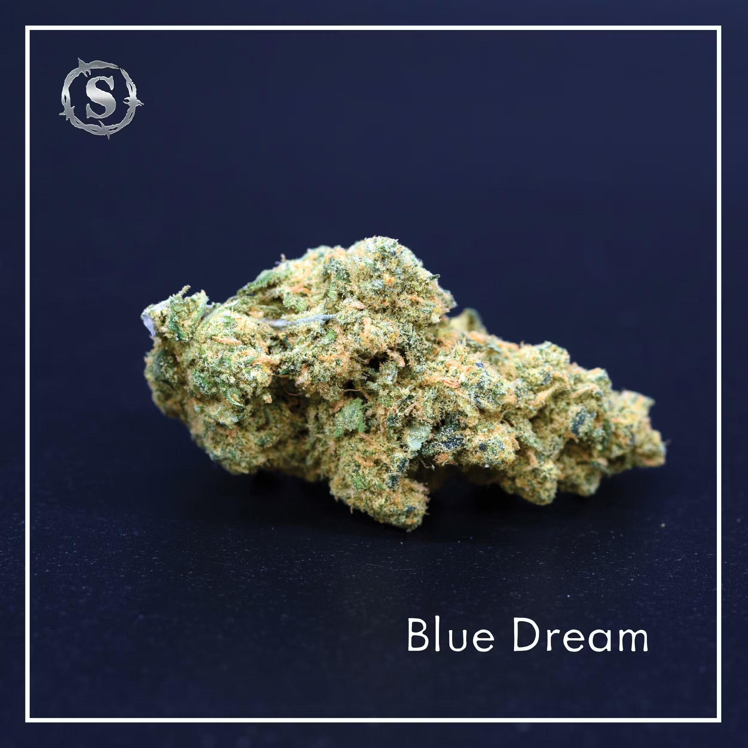 Photograph of product: Circle S Farms- Platinum | Flower | Blue Dream - 3.5g