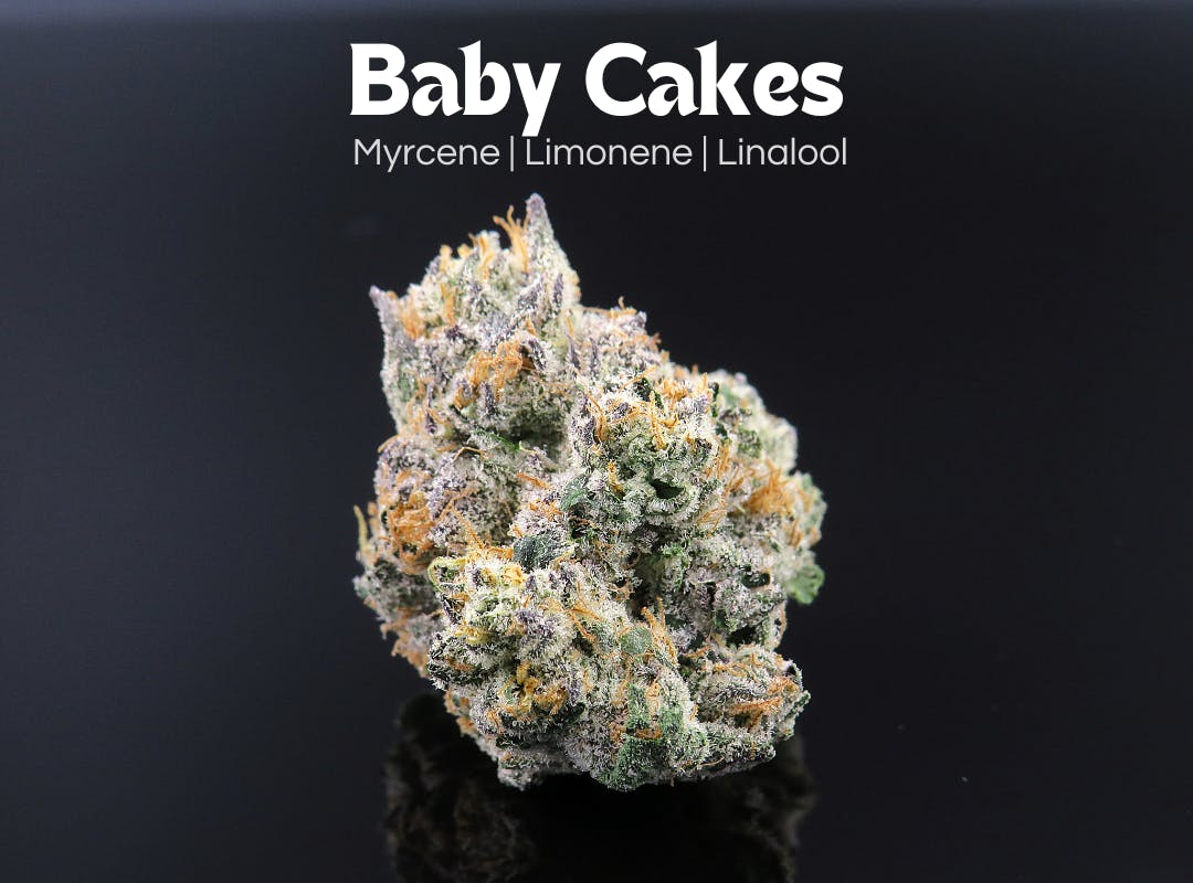 Photograph of product: Baby Cakes