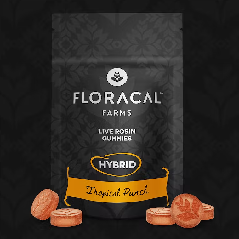 Photograph of product: Live Rosin Tropical Punch Gummies 100mg (10-Pack | 10mg Each)