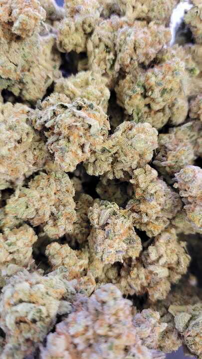 Photograph of product: Masterpiece (PDX Organix)
