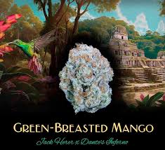Photograph of product: Deaux - Green-breasted Mango (H) - Flower - 3.5g