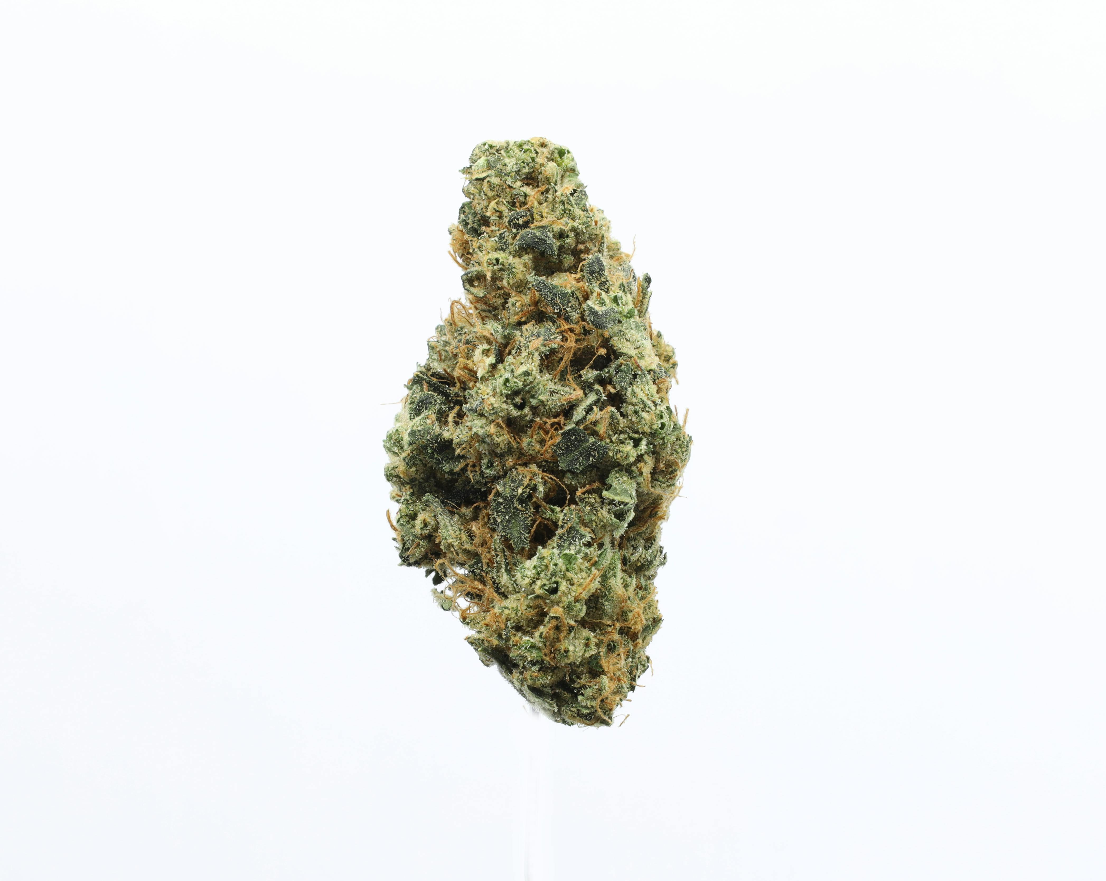 Photograph of product: UpNorth 3.5g Panama Red