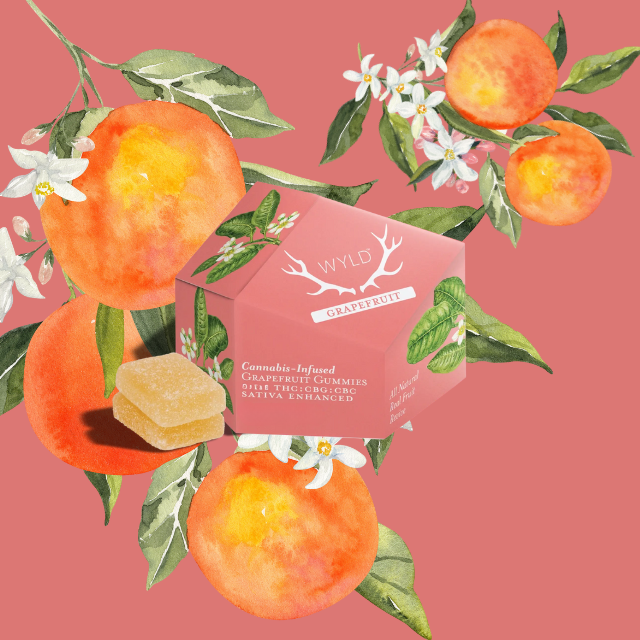 Photograph of product: GUMMIES | GRAPEFRUIT 1:1:1