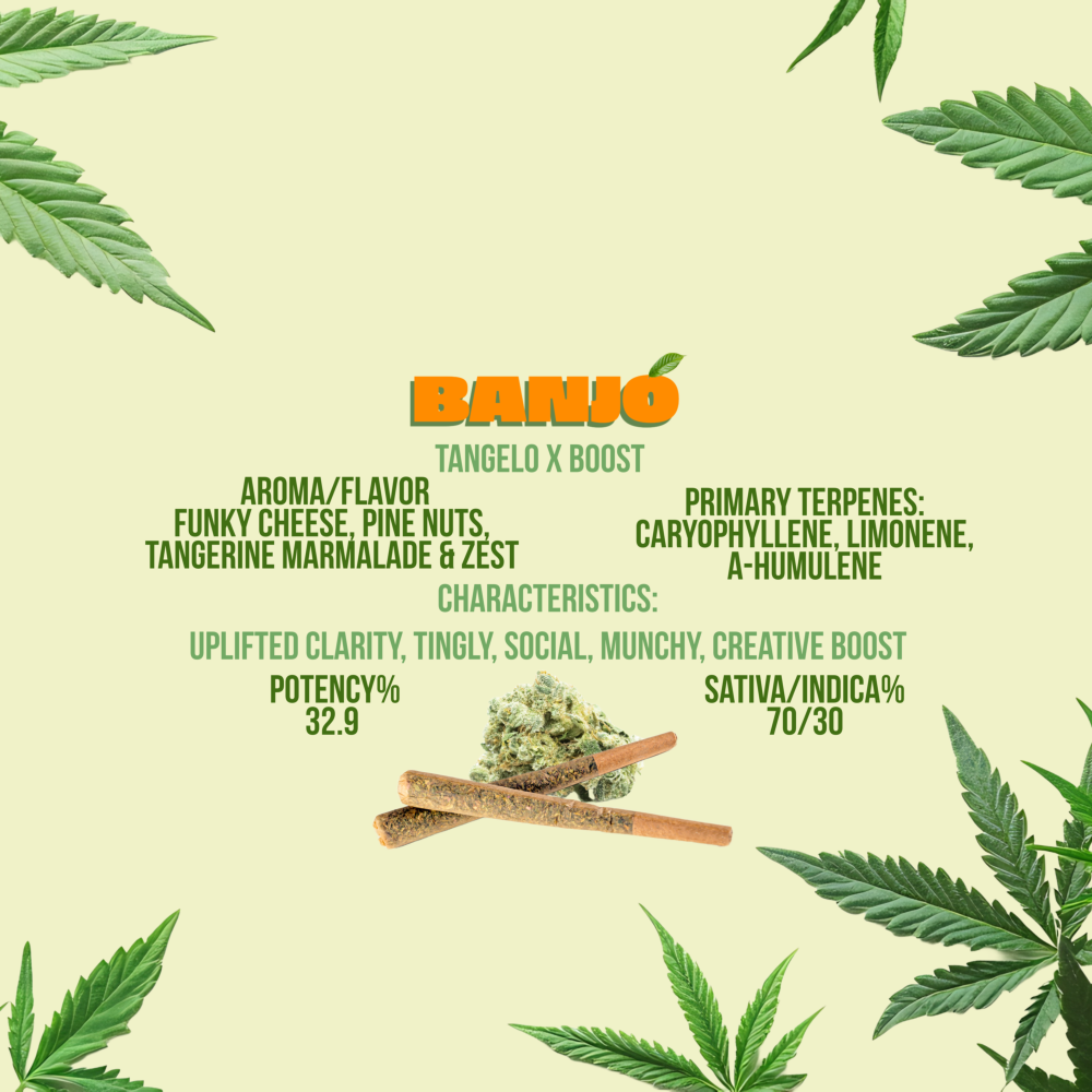Photograph of product: 2Js - Banjo - Preroll -  0.7g - 2pk (1.4g)