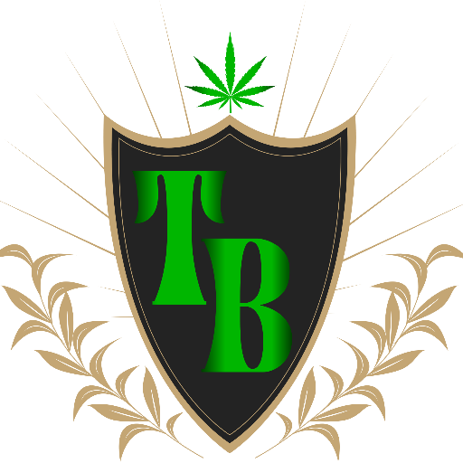 Photograph of Product: TOKING BLUNTS | ACAPULCO GOLD | 1G PRE-ROLL BLOINT