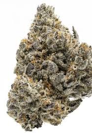 Photograph of product: MJ Verdant | Animal Runtz | Bulk Flower - 28g