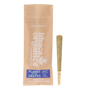 Photograph of product: Planet of the Grapes | Single