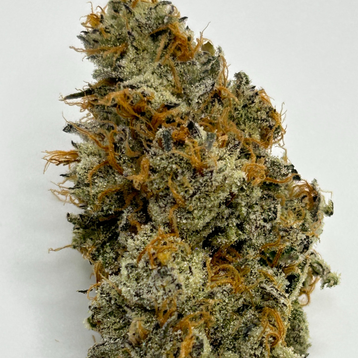 Photograph of product: Cloud 9 | Mule Fuel | Bulk Flower - 28g