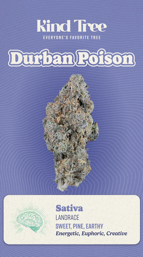Photograph of product: Kind Tree - Durban Poison Flower - 3.5g