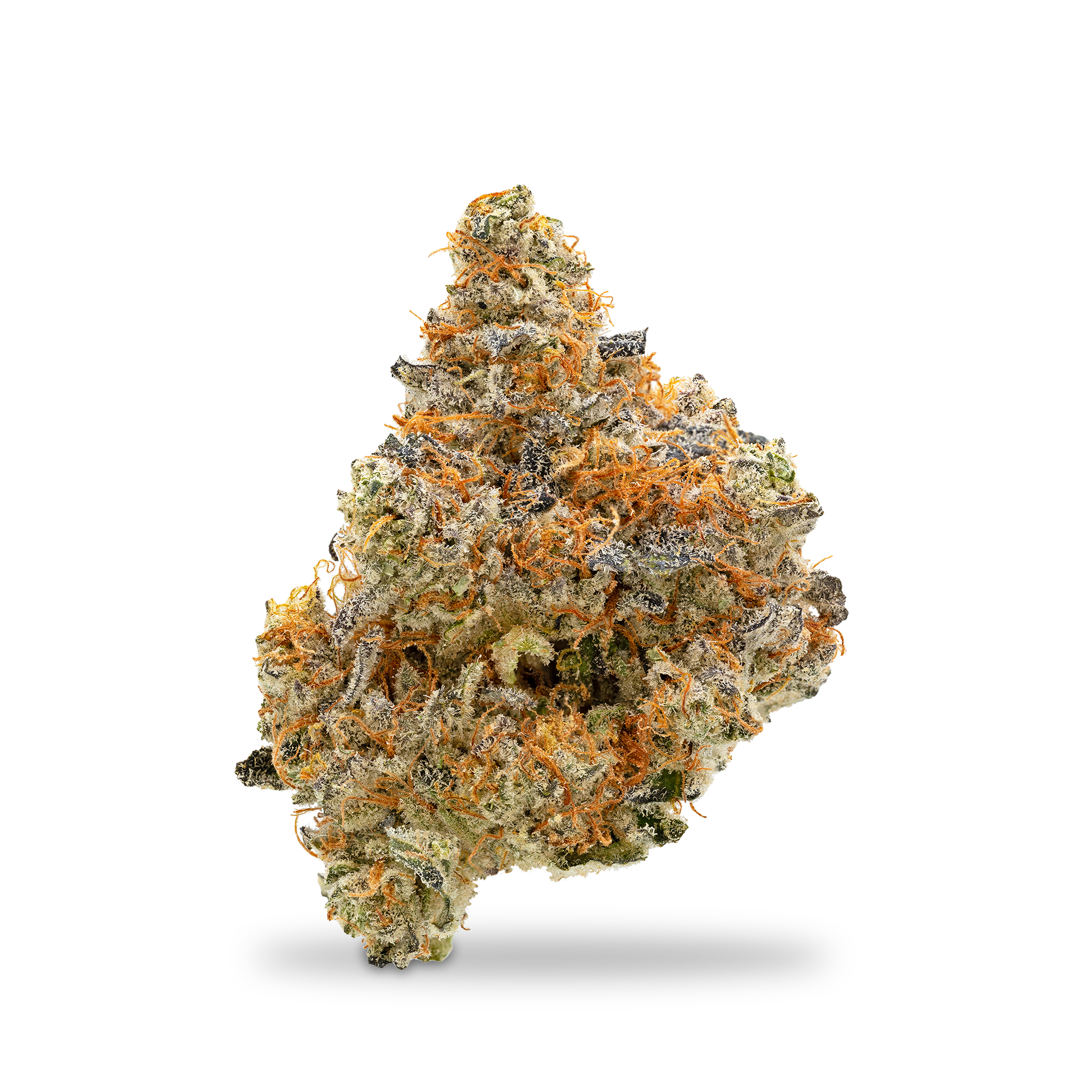 Photograph of product: Grown Rogue - Collins Ave - 28g