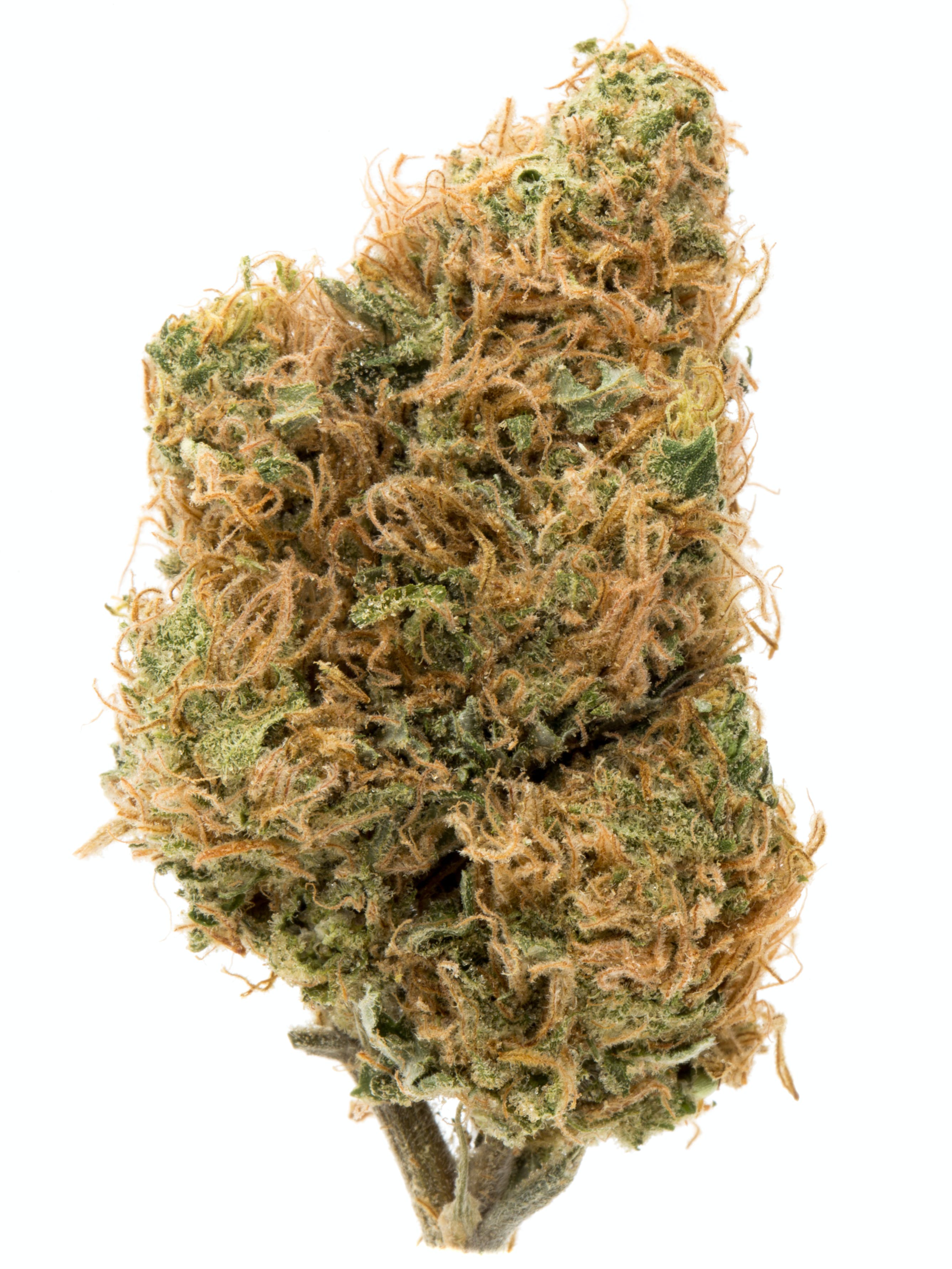 Photograph of product: Gold Shelf - Sour Chillz #7 (S) - 28g