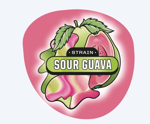 Photograph of product: Terp Chews Sour Guava Gummies 20ct 100mg - Sales Floor