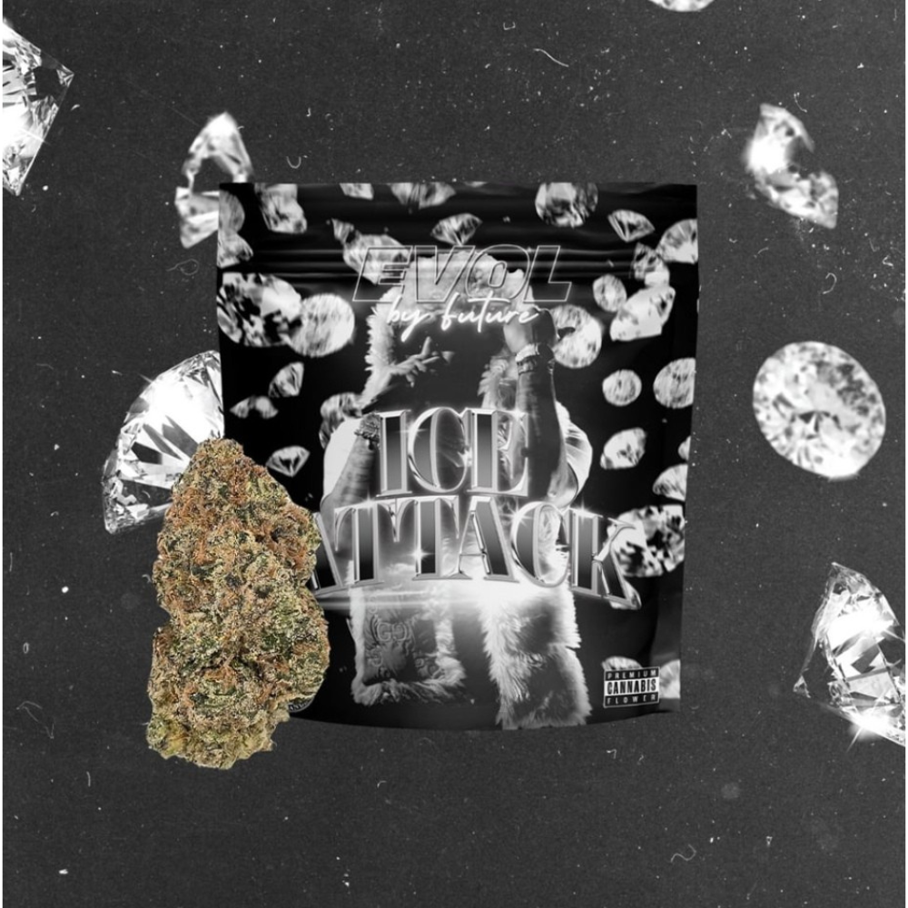 Photograph of product: EVOL Ice Attack 1/8 - 3.5g