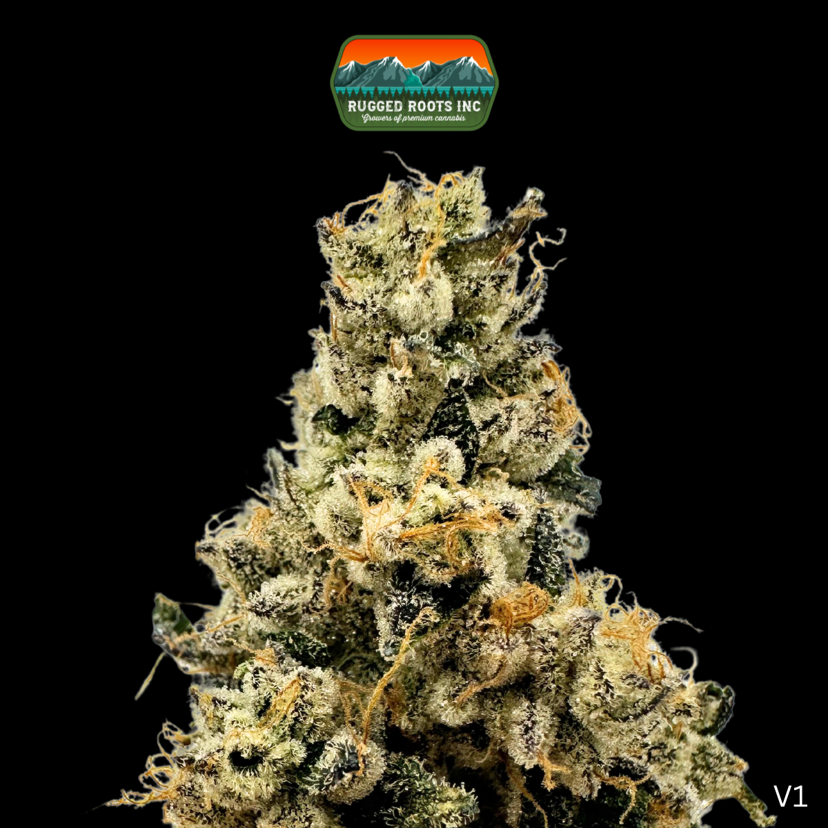Photograph of product: Rugged Roots | First Class Gas 3.5g