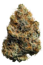Photograph of product: CannaCare | 3.5g | Maiden Voyage