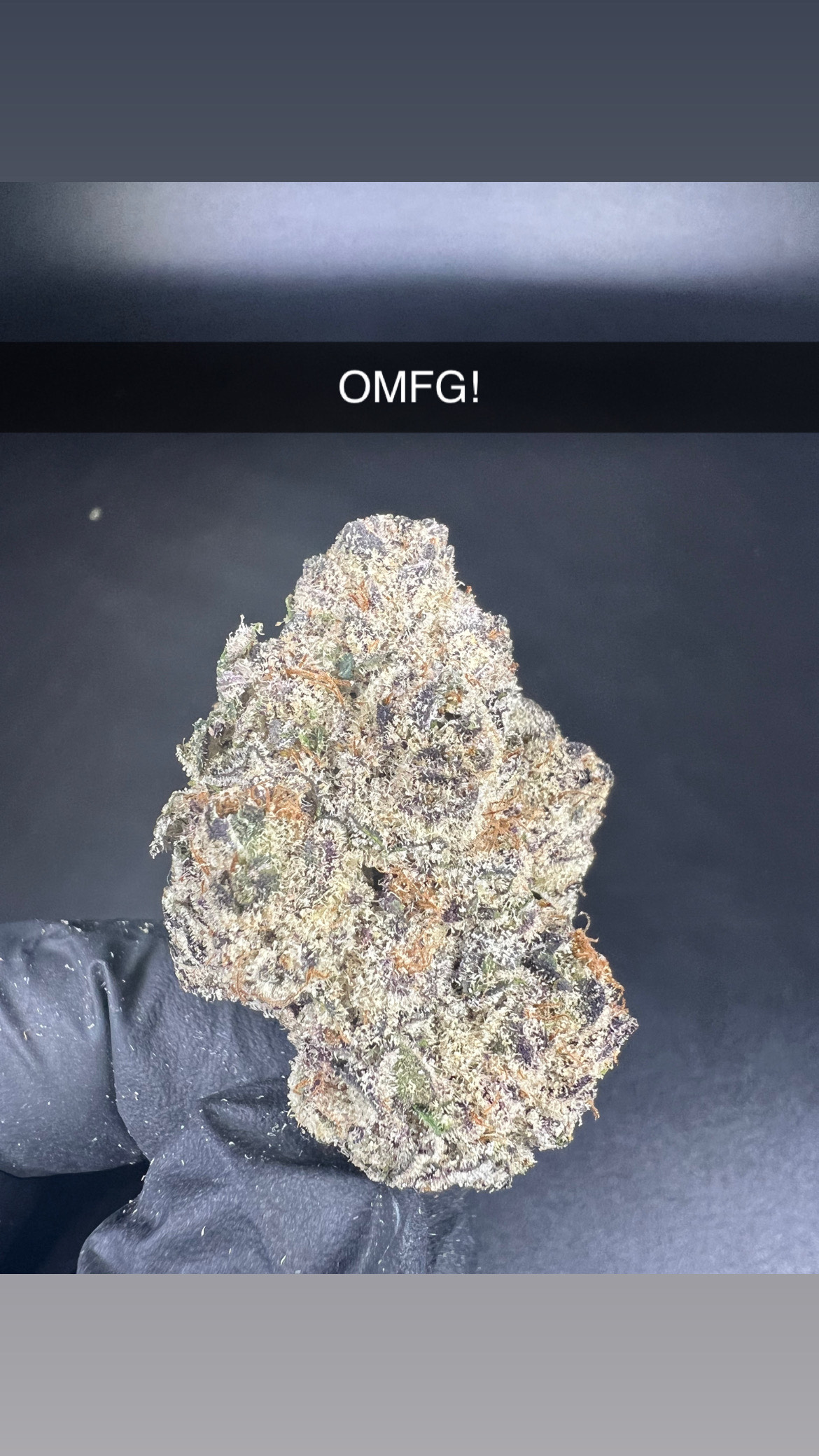 Photograph of product: OMFG - Flower - Oui'd - 28g