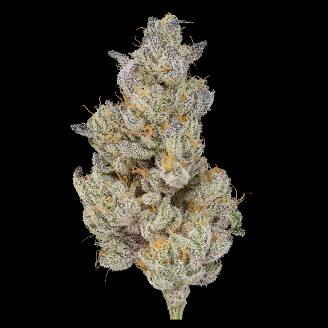 Photograph of product: Green Dot - Pre-Packed - Cherry Ak-47 (H) - 7g