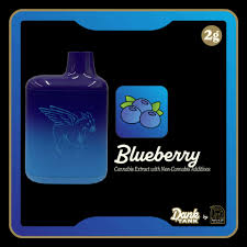 Photograph of product: Disposable Vape - Blueberry - Dank Tank - REC
