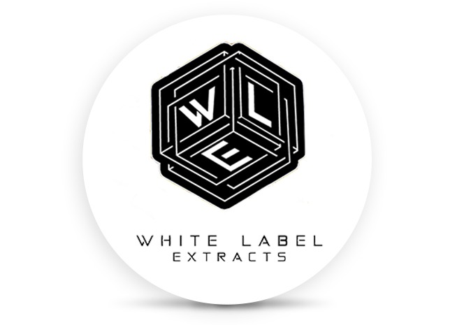 Photograph of product: Garlic Sherb - Shatter - WLE