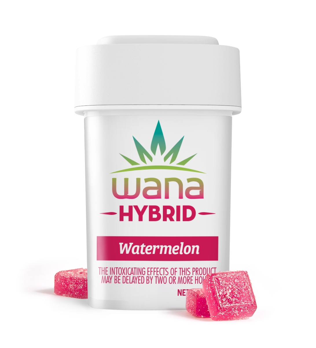 Photograph of product: Gummies | Classic | Watermelon (Hybrid) | 10 pk