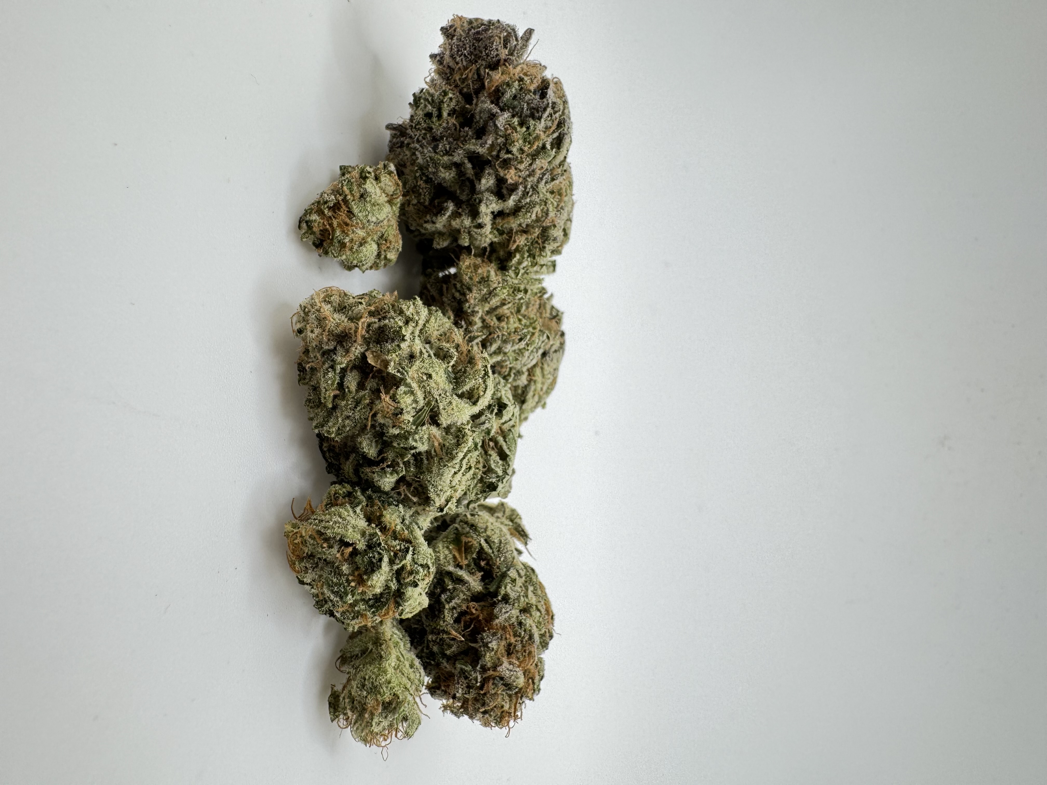 Photograph of product: Blueberry Muffin Flower - 3.5g