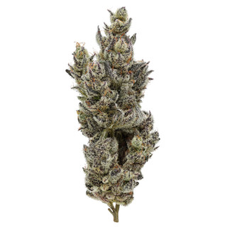 Photograph of product: HOLY MOLY