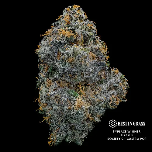 Photograph of product: Gastro Pop | Society C - 28g